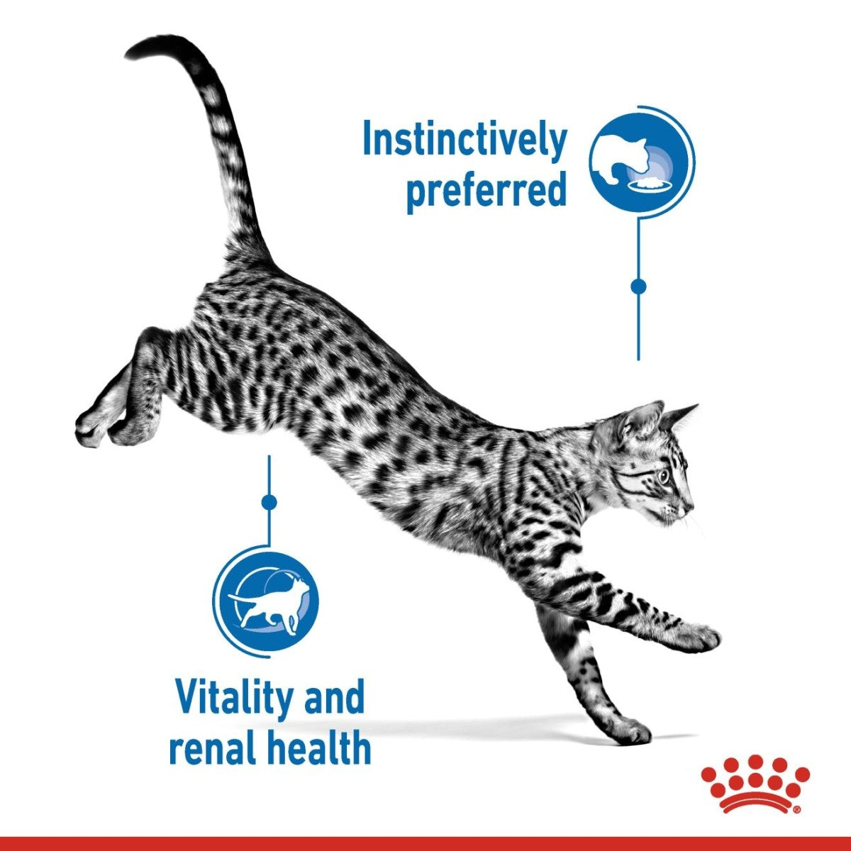 Feline Health Nutrition Indoor 7+ (WET FOOD - Pouches) 12 x 85g