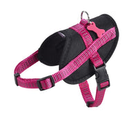 Thumbnail for Easy Safe Harness - Fuschia / XS