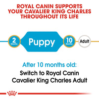 Thumbnail for Breed Health Nutrition Cavalier King Charles Puppy 1.5 KG