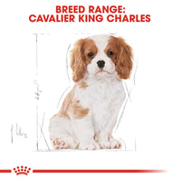 Thumbnail for Breed Health Nutrition Cavalier King Charles Puppy 1.5 KG