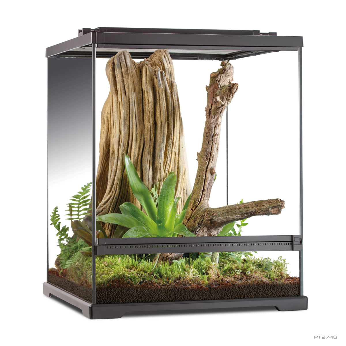 Exo Terra Dart Frog Terrarium Amphibian Habitat 45 x 45 x 60 cm