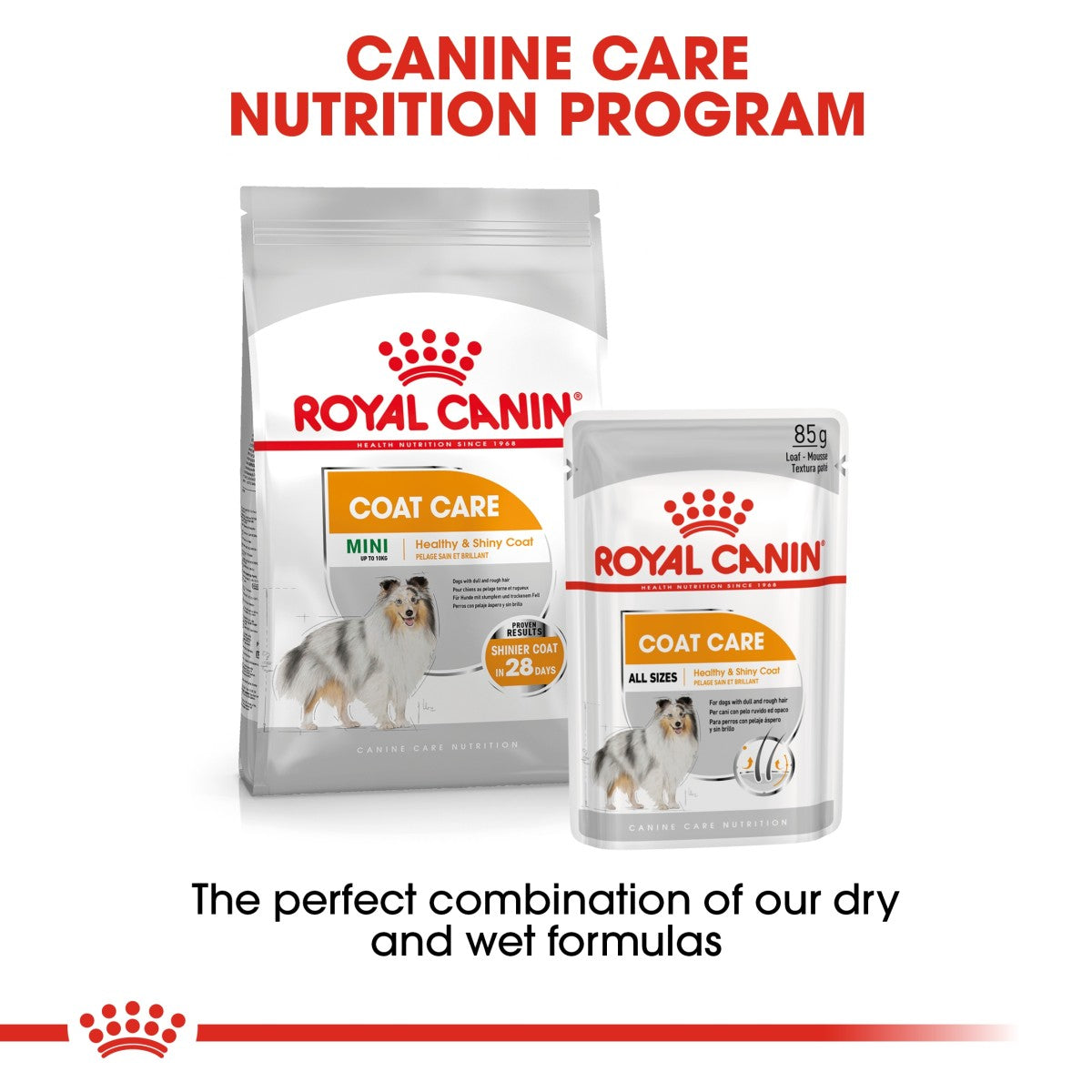 Canine Care Nutrition Coat Care (WET FOOD - Pouches) 12 x 85g