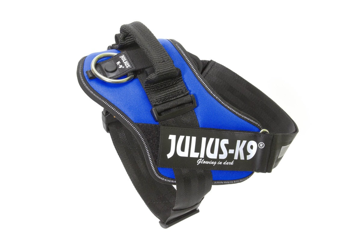 IDC Powerharness - Blue / Size 2