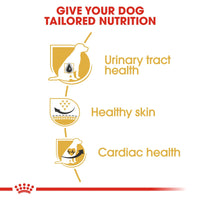 Thumbnail for Breed Health Nutrition Dalmatian Adult 12 KG