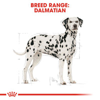 Thumbnail for Breed Health Nutrition Dalmatian Adult 12 KG