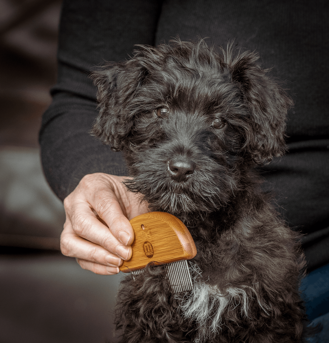 Bamboo Puppy & Kitten Grooming Kit