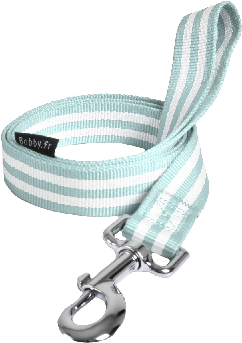 Leash Stripe Lagoon Large