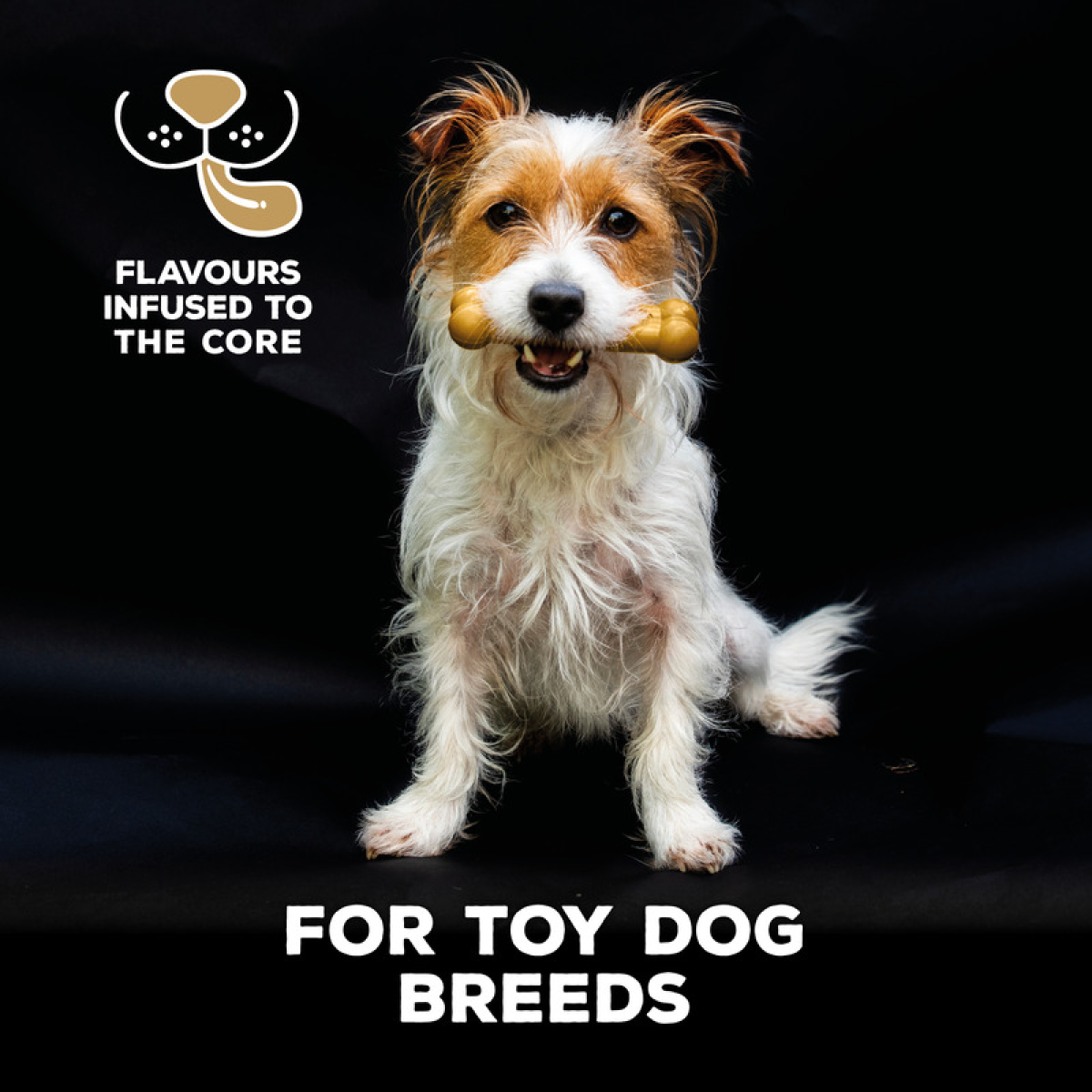 TastyBone Nylon Toy Dog - Peanut Butter