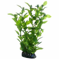 Thumbnail for Artificial plant - Hygrophila large