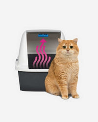 Thumbnail for Magic Blue-Airpurifier for Litter boxes