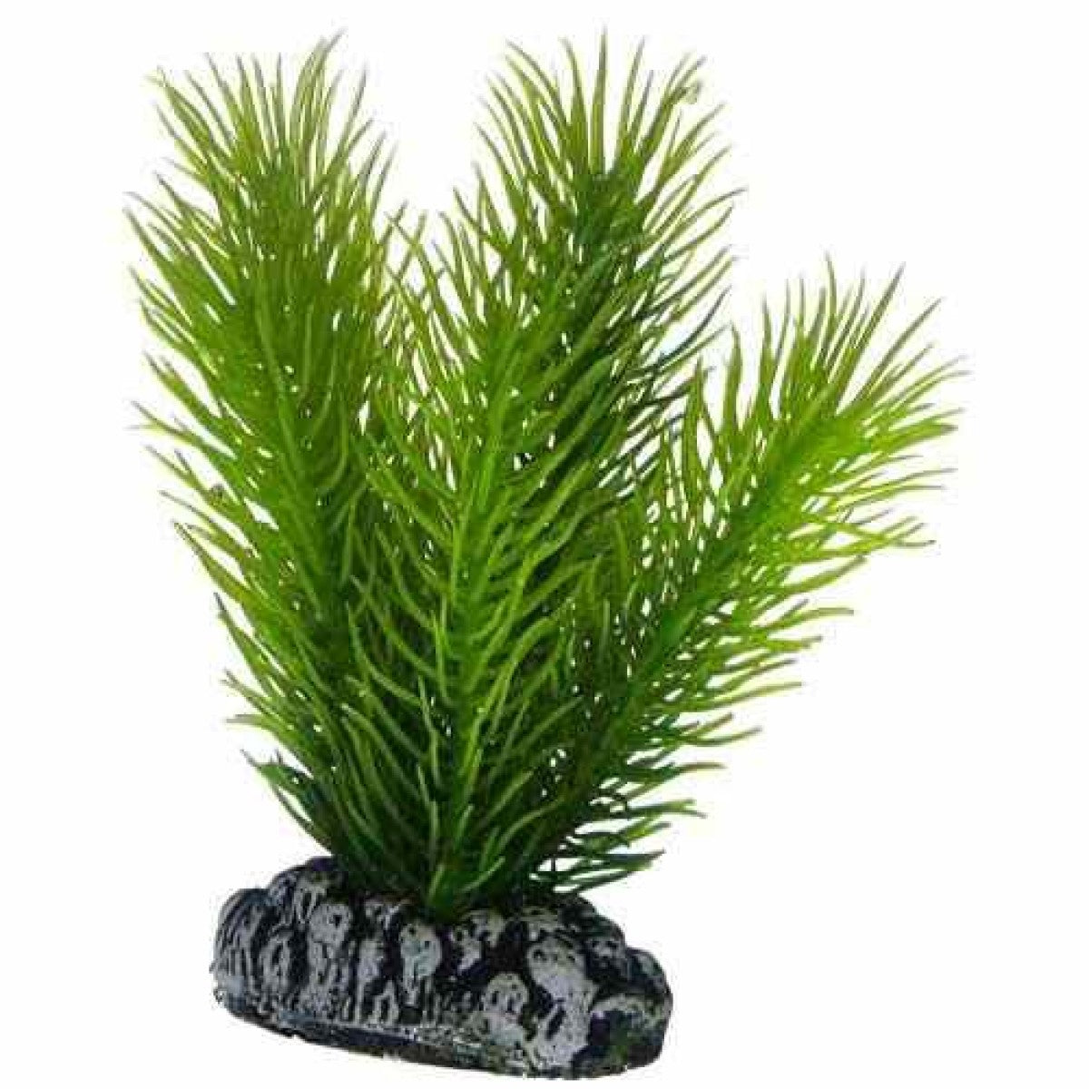 Artificial plant - Mayaca small