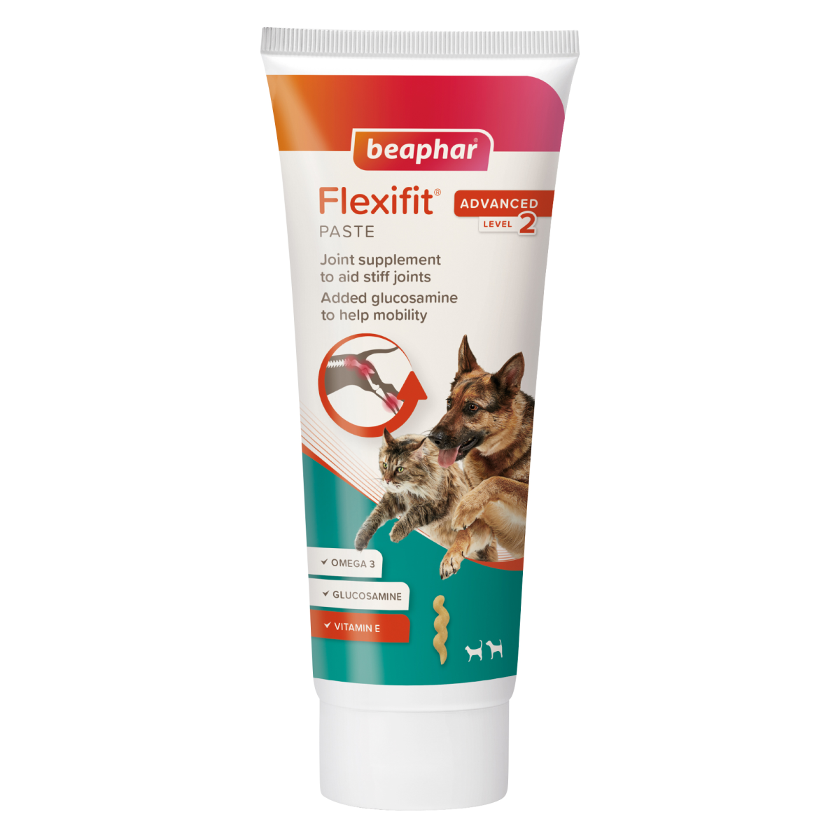 Flexifit Paste Dog/Cat 250 g