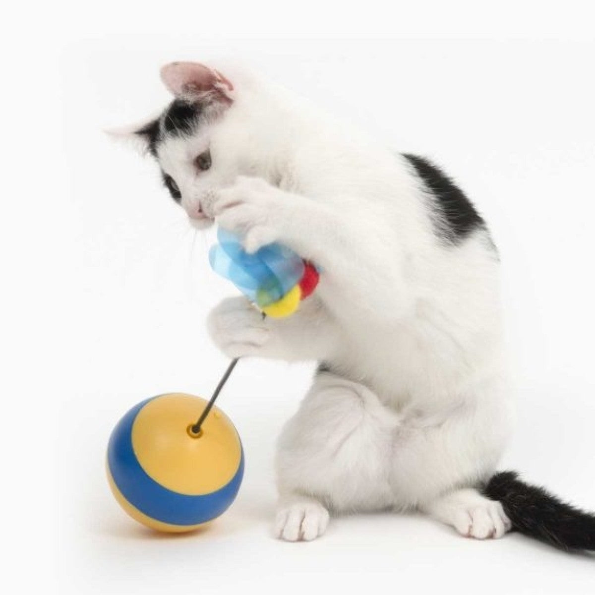 Catit Interactive Cat Toy - Tumbler Bee