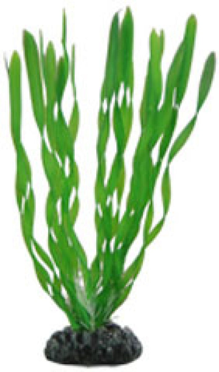 Artificial plant - Vallisneria 20 cm