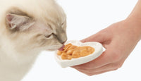 Thumbnail for CatIt Creamy Lickable Treats - Chicken & Lamb