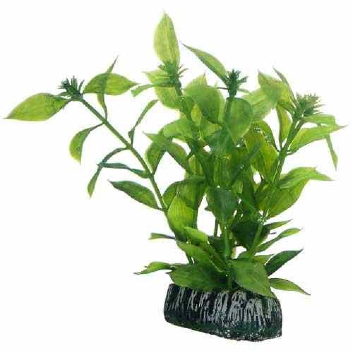 Artificial plant - Hygrophila small