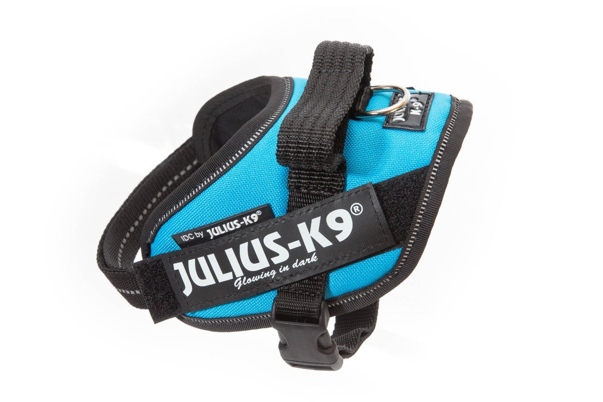 IDC Powerharness - Aquamarine / Size Mini-Mini