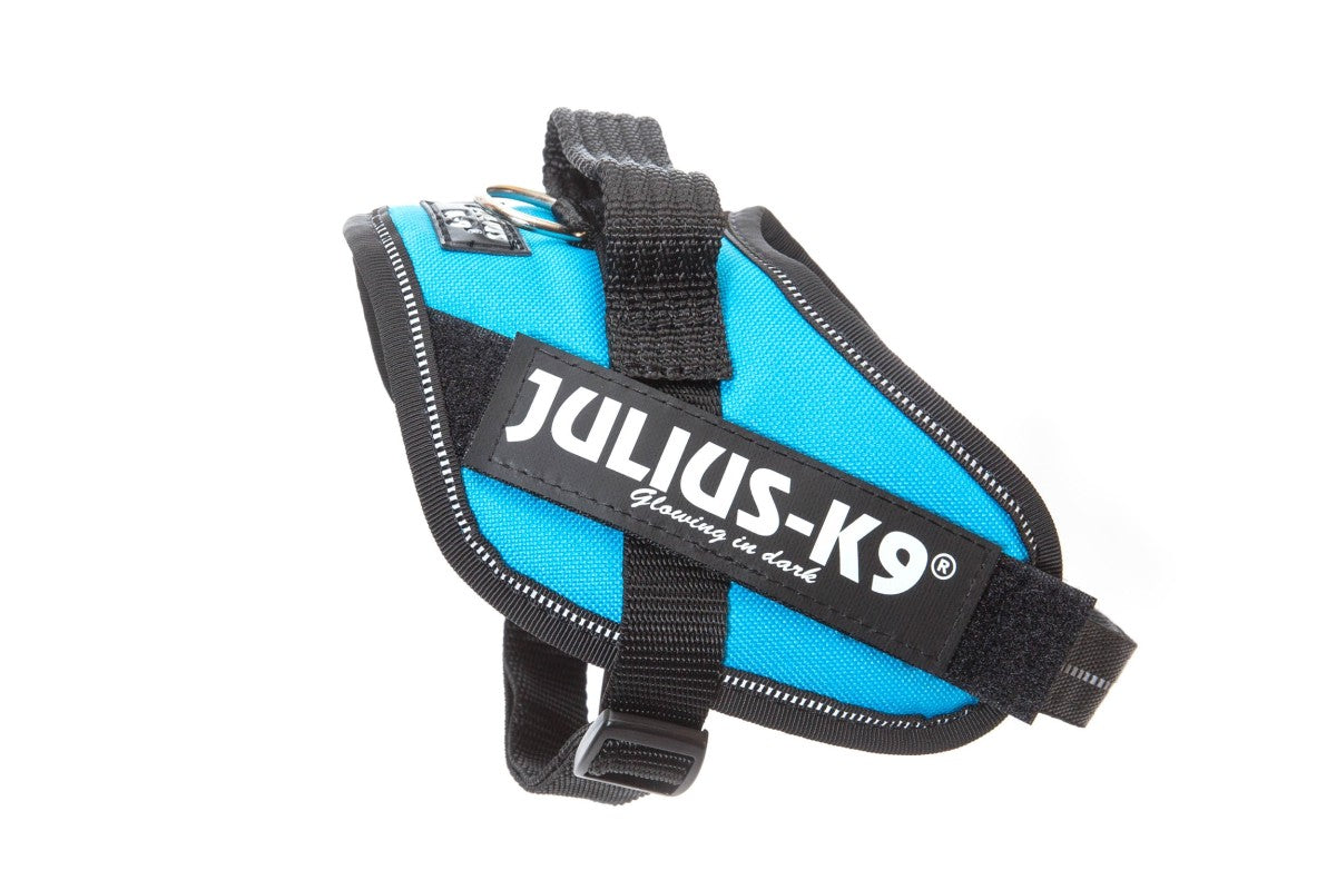 IDC Powerharness - Aquamarine / Size Mini-Mini