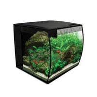 Thumbnail for Fluval Flex Aquarium - 34L