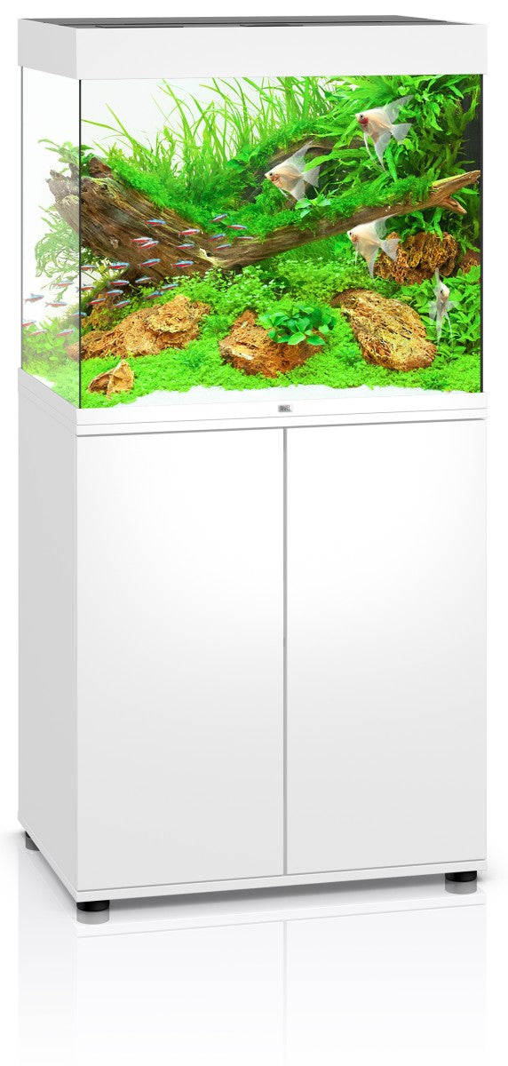 Lido 200 SBX Cabinet - White