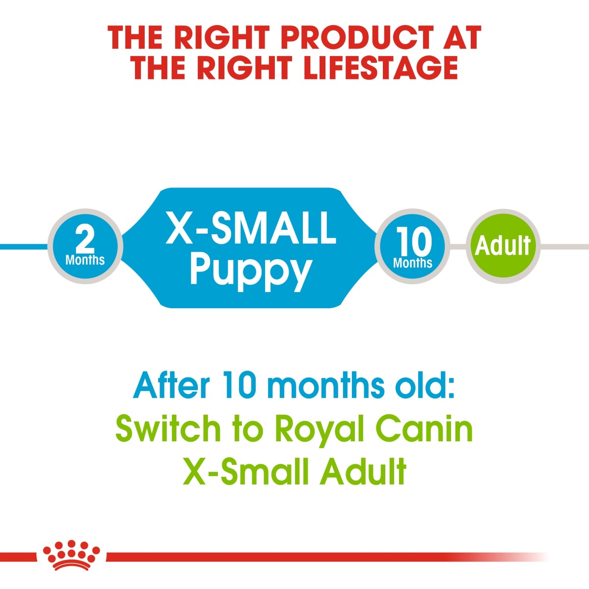 Size Health Nutrition XS Puppy 1.5 KG