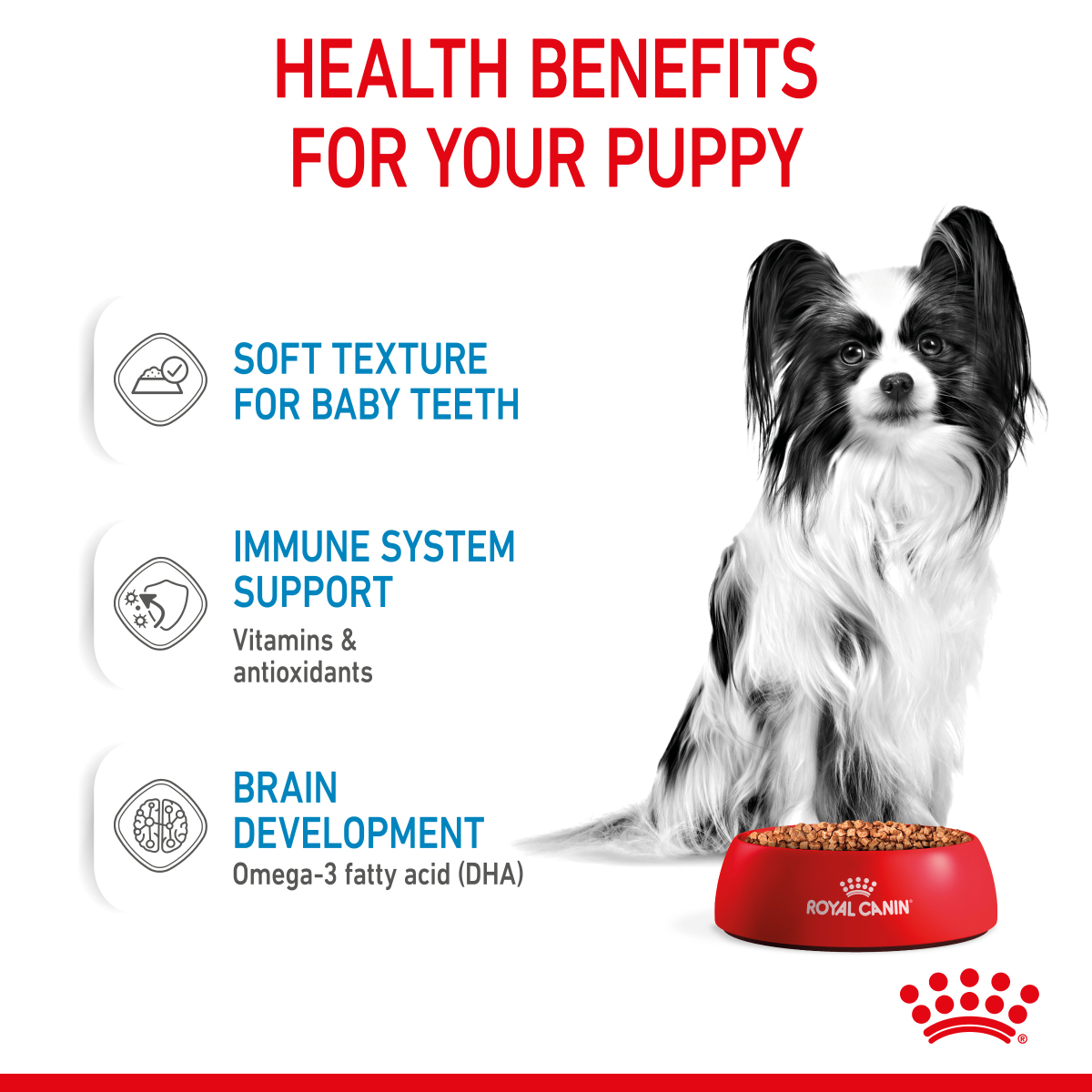 Size Health Nutrition XS Puppy 1.5 KG