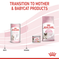 Thumbnail for Feline Health Nutrition Babycat Milk 300 g