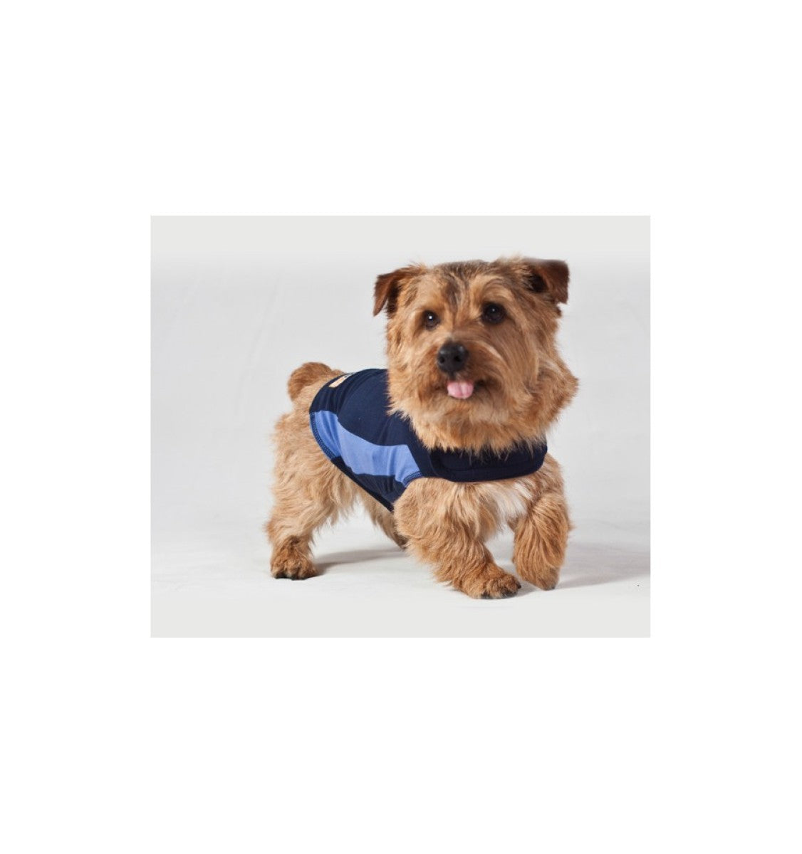 ThunderShirt Dog Blue XS EU