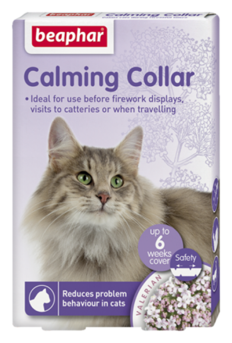 Calming Collar for Cat