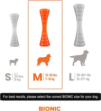 Thumbnail for BIONIC Urban Stick, Medium, 23cm