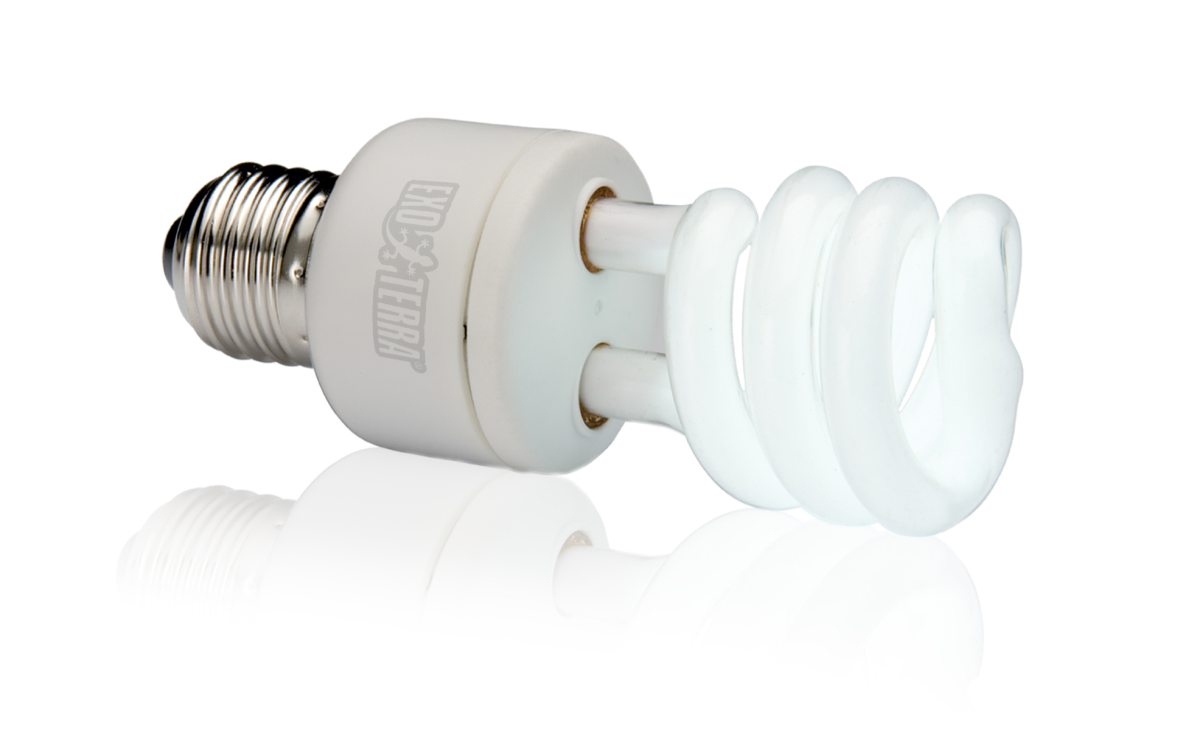 Exo Terra Natural Light Full Spectrum Daylight Bulb - 13W