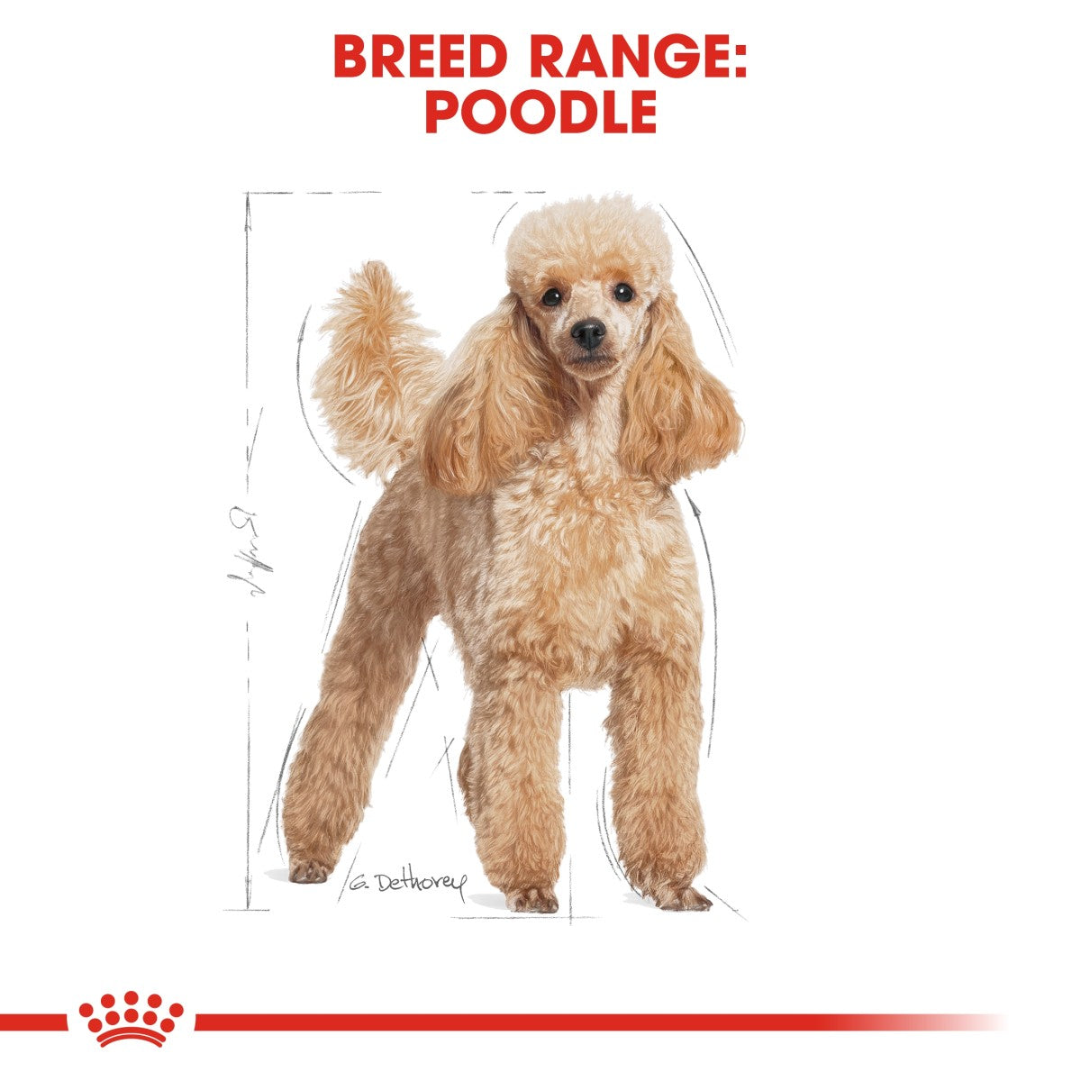 Breed Health Nutrition Poodle Adult (WET FOOD - Pouches) 12 x 85g