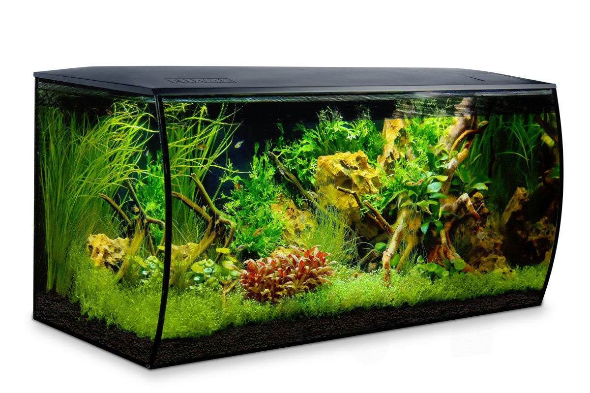 Fluval Flex Aquarium Kit 123L- Black