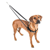 Thumbnail for Freedom No-Pull Harness and Leash -  Red / Medium 1