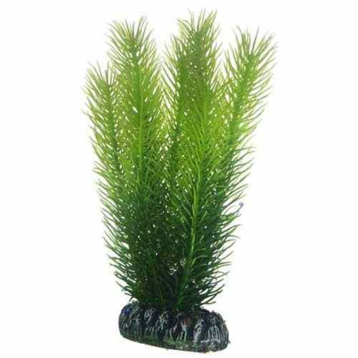 Artificial plant - Mayaca medium