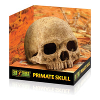 Thumbnail for Exo Terra Primate Skull