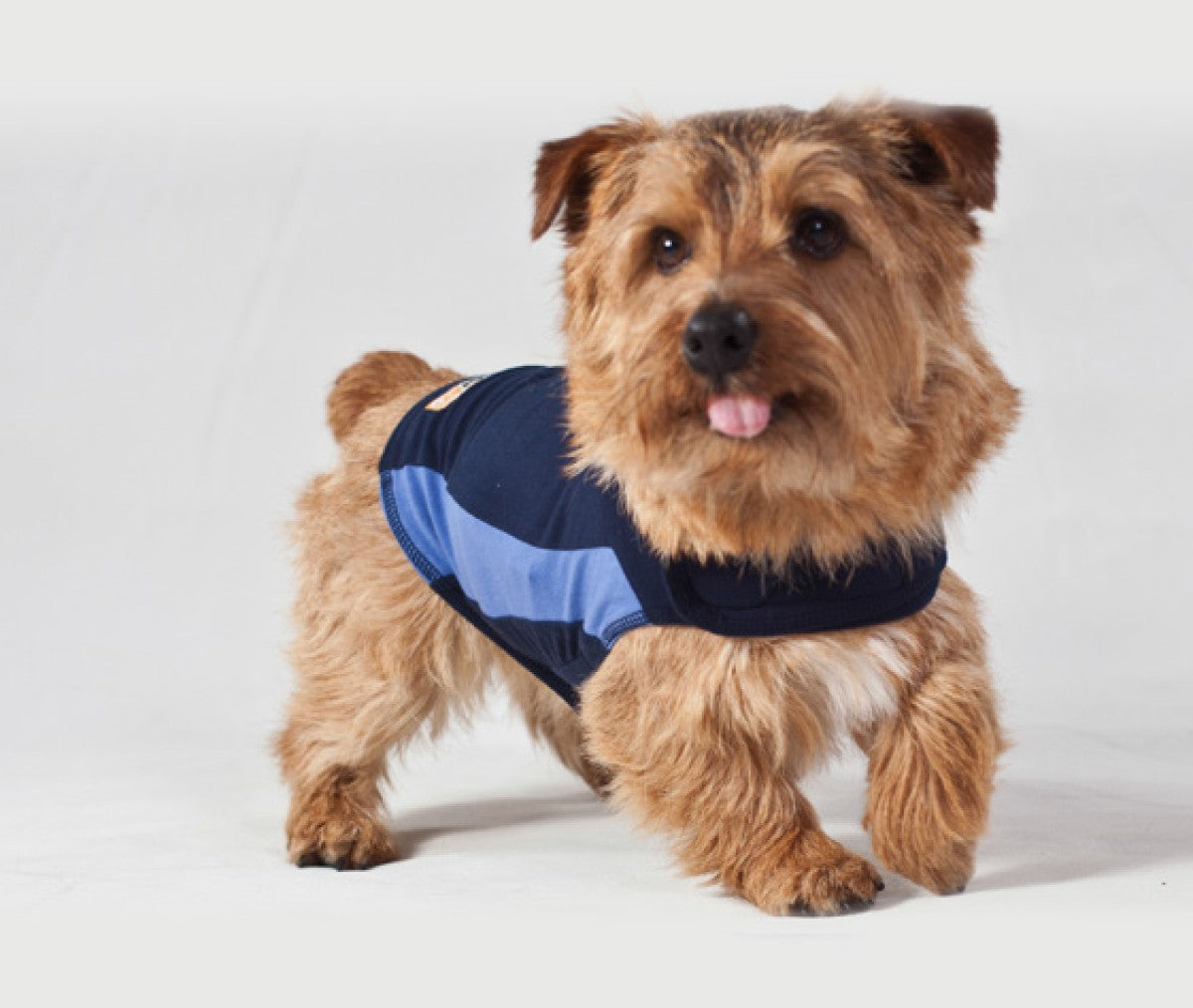 ThunderShirt Dog Blue XXS