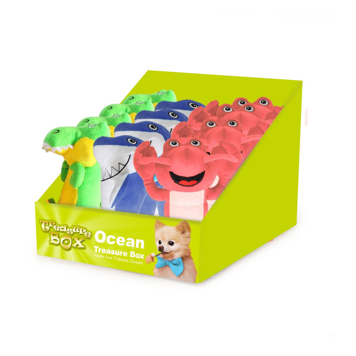 Ocean Treasure Box Assorted - 24pcs/box