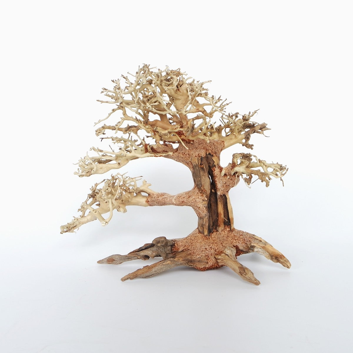 Pine Bonsai Wood - Small / 23x17x10cm / BOX