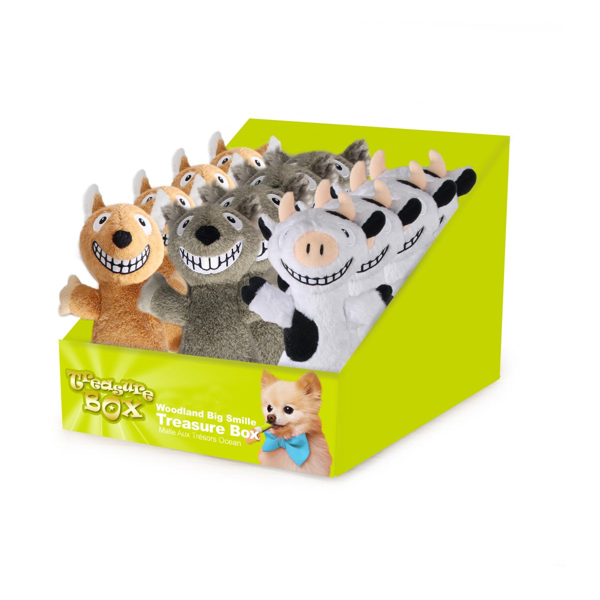 Woodland Big Smile Treasure Box Assorted - 24pcs/box