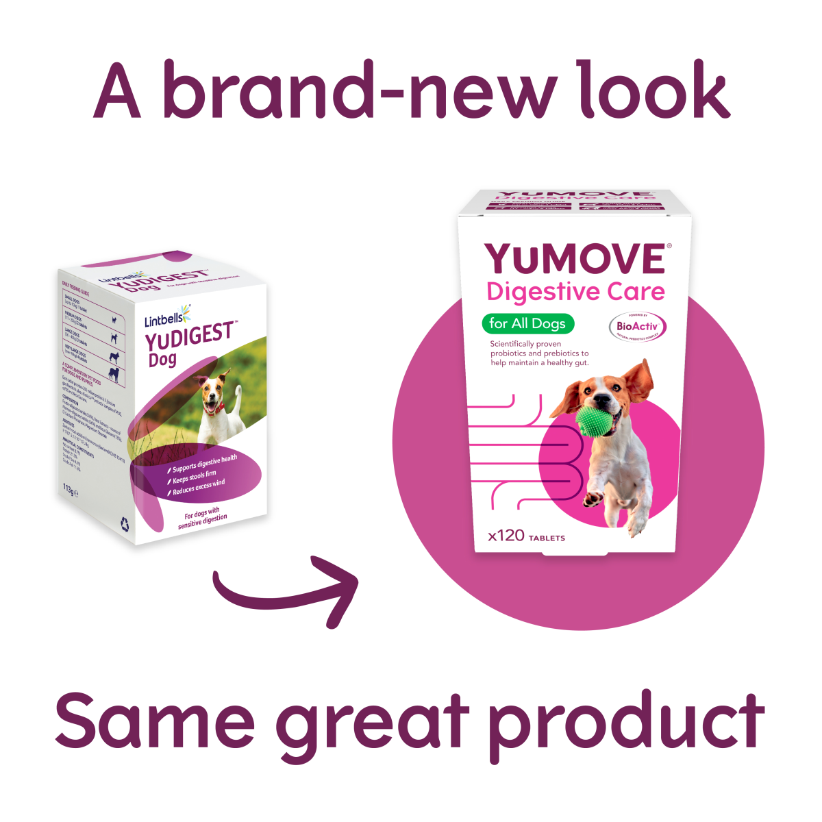 YuMOVE Digestive Care 120 tabs