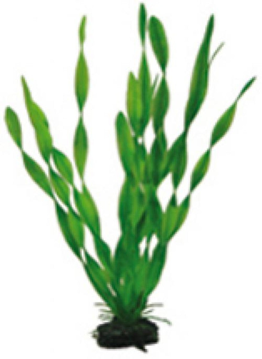 Artificial plant - Vallisneria 34 cm