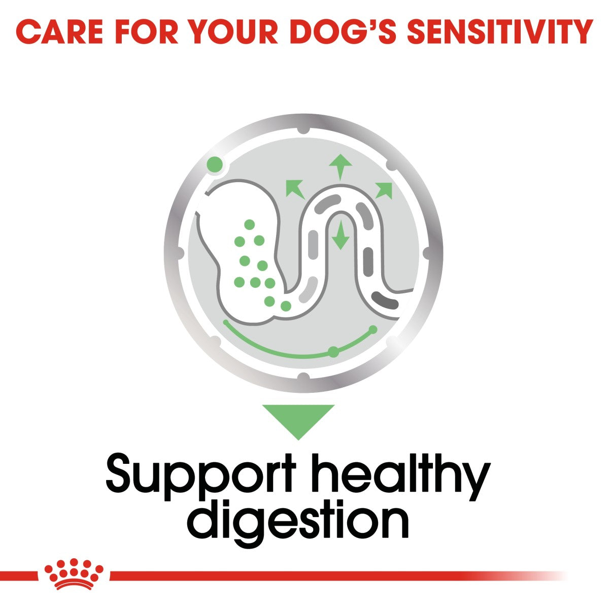 Canine Care Nutrition Digestive Care (WET FOOD - Pouches) 12 x 85g