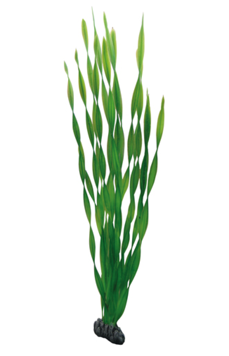 Artificial Plant - Vallisneria 60 cm