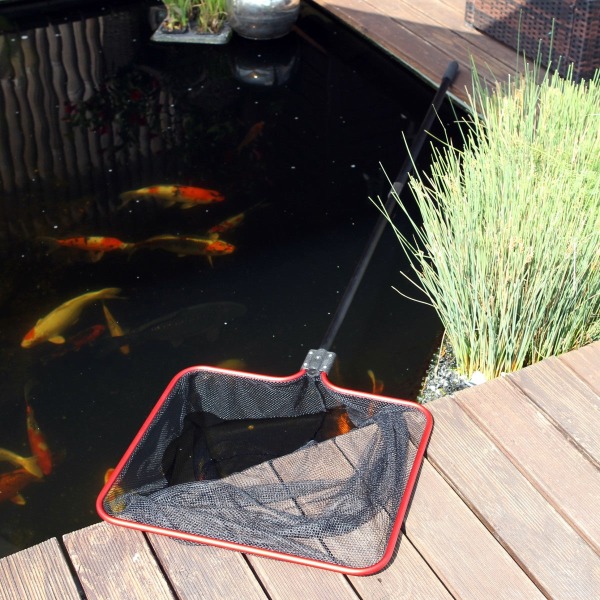 JBL pond net M coarse 50x43x203cm