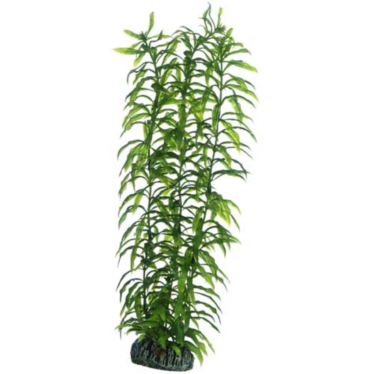 Artificial plant - Heteranthera large