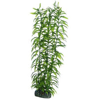 Thumbnail for Artificial plant - Heteranthera large