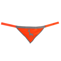 Thumbnail for Visibility Dog Bandana, Medium - Neon Orange