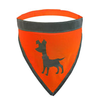 Thumbnail for Visibility Dog Bandana, Medium - Neon Orange