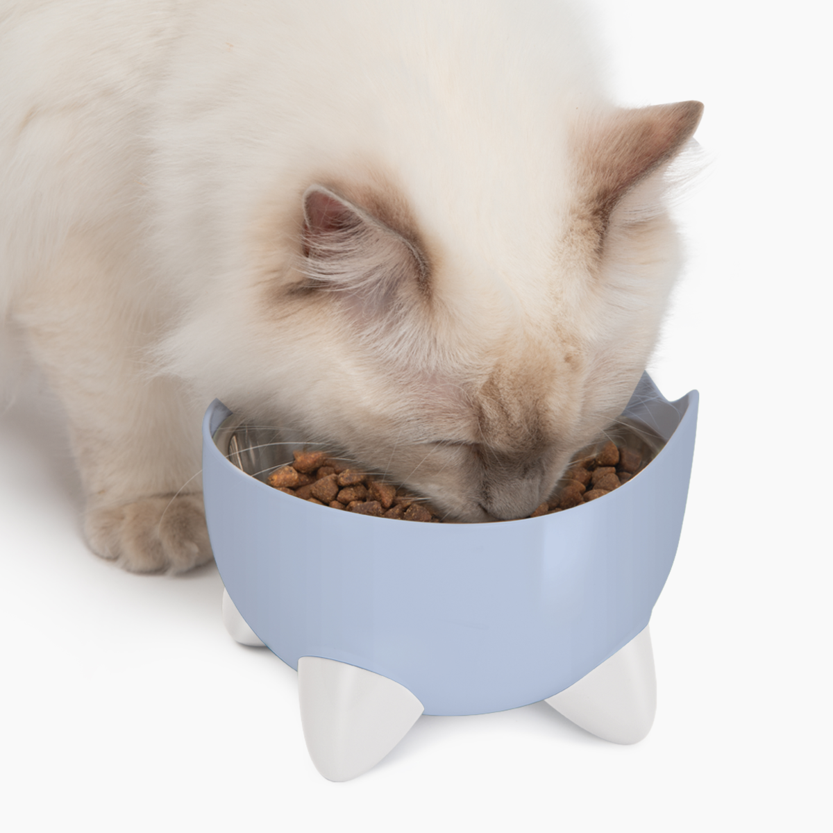 CatIt Pixi Drinking Fountain - Combo pack/Blue